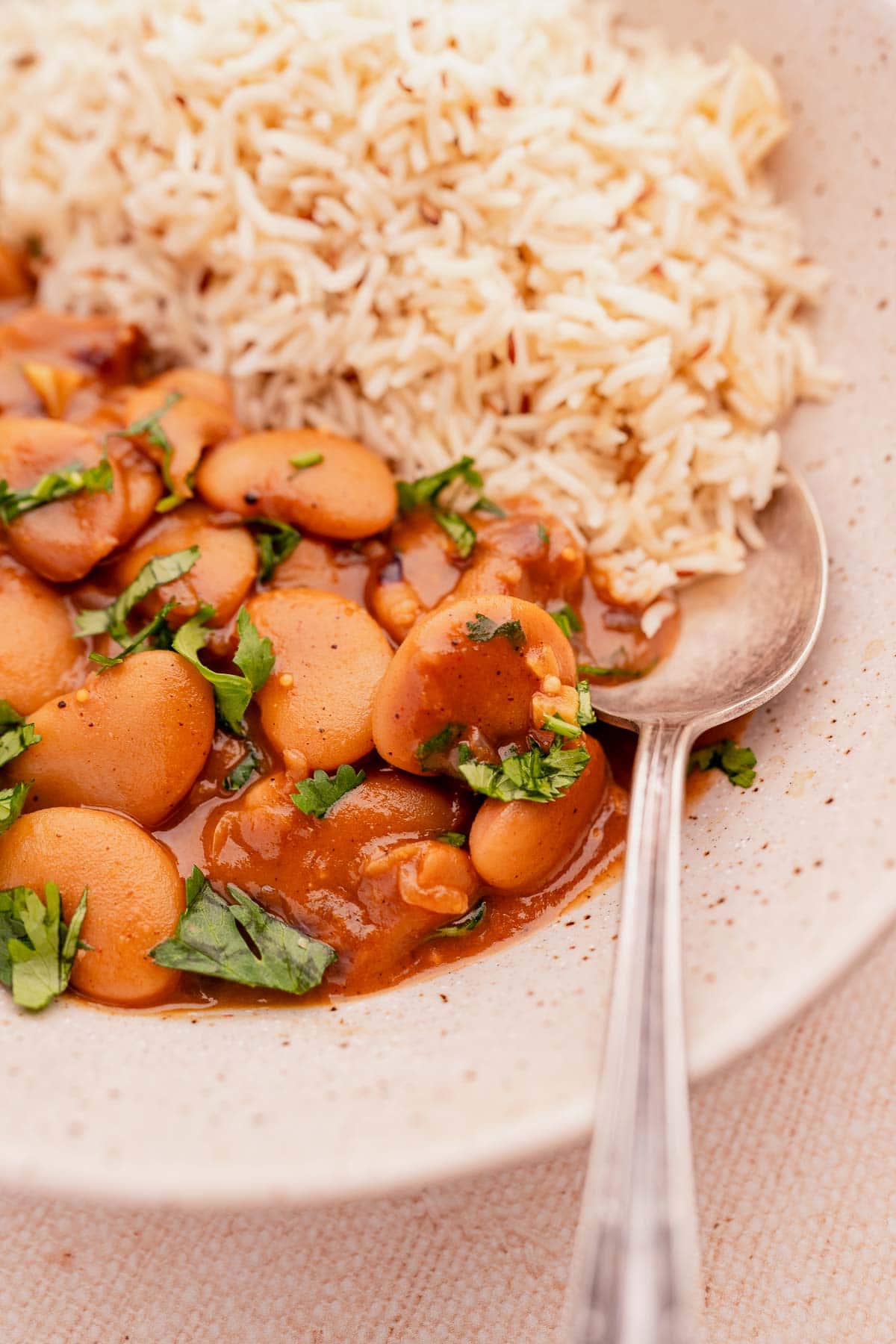 A close shot of a spoon in a bowl of butter bean curry and rice.