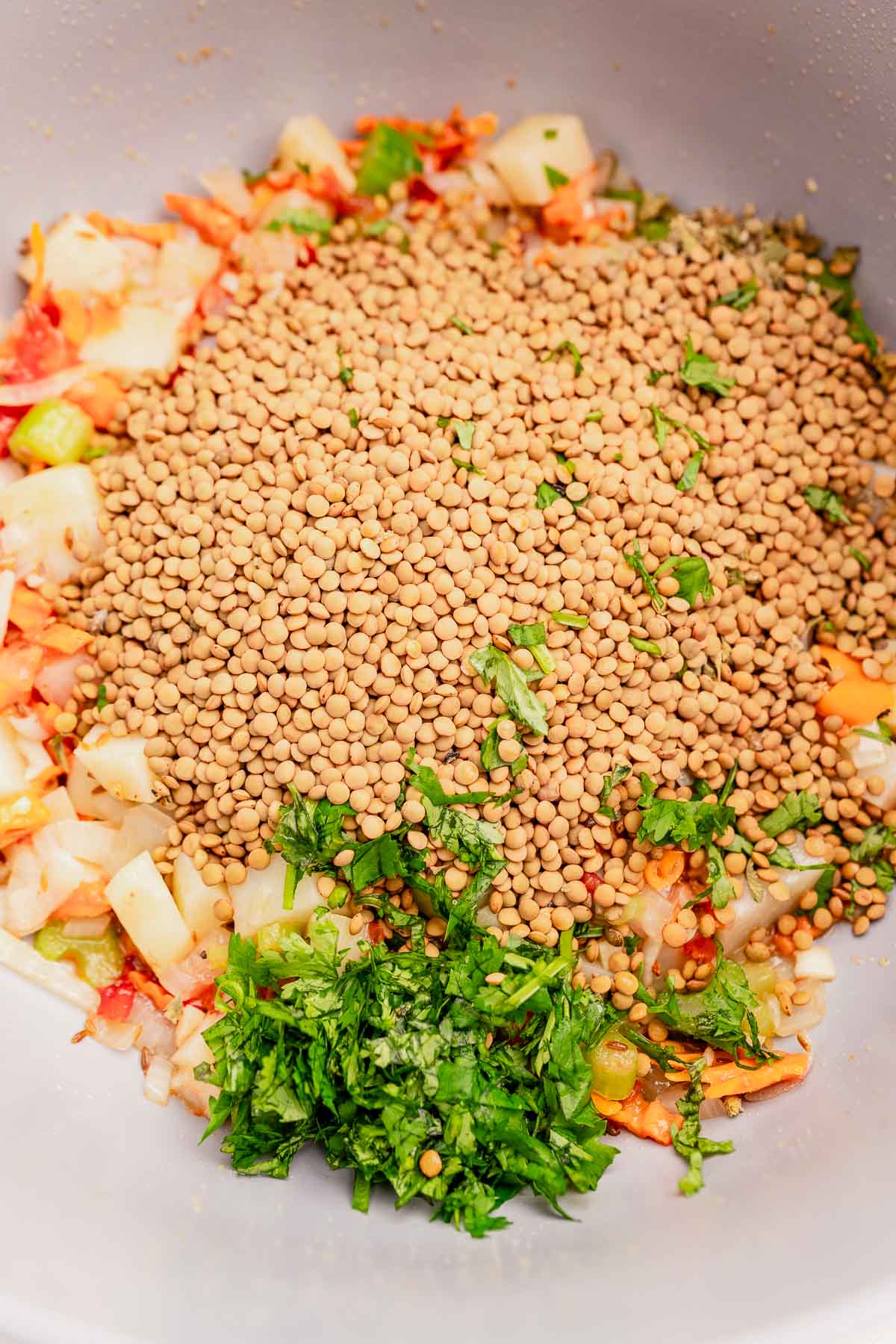 A bowl containing raw lentejas, chopped parsley, diced vegetables, and seasonings ready to be mixed.