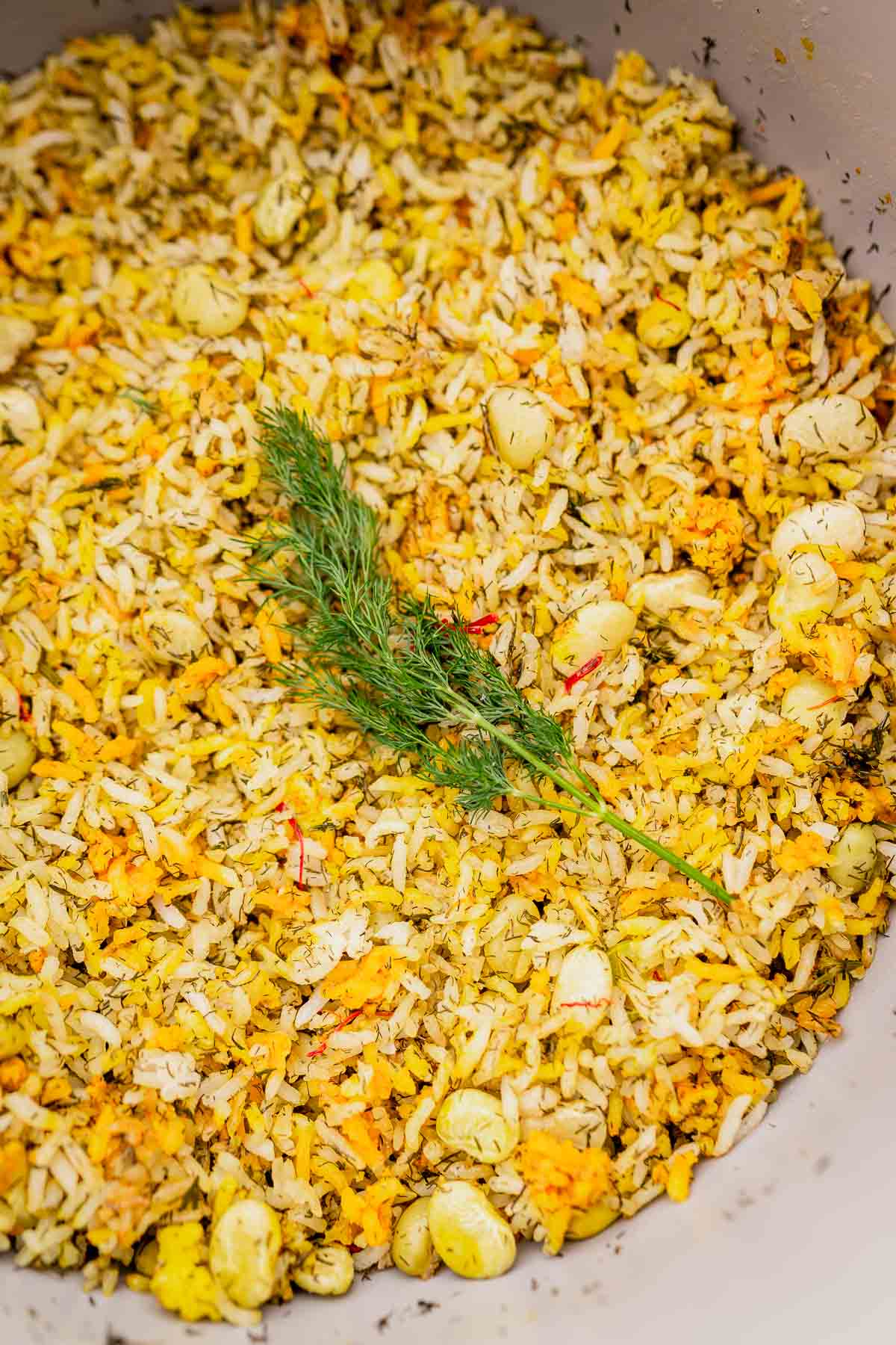 A close-up of dill rice, beautifully cooked and infused with a medley of herbs and spices, garnished with a fresh dill sprig at its center.