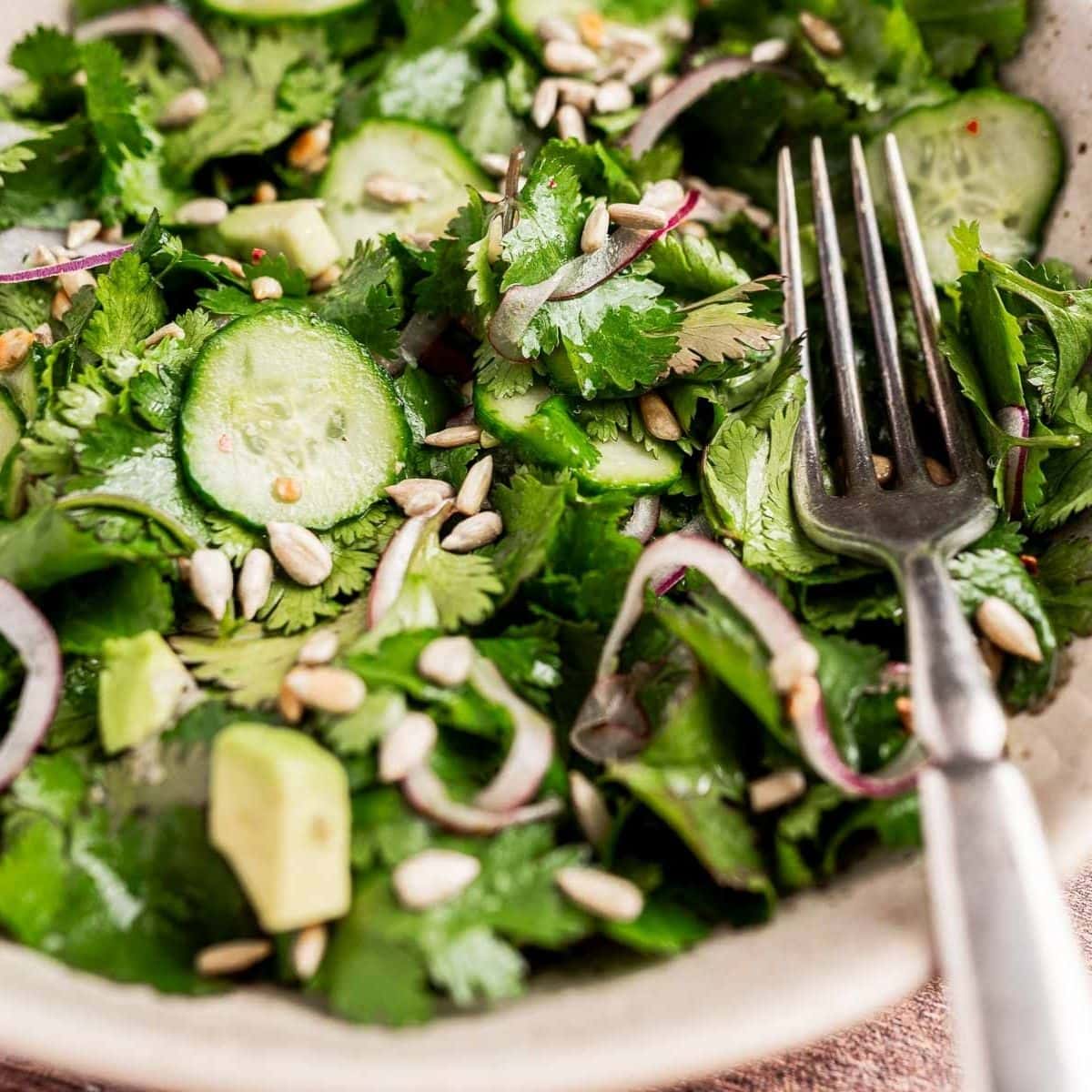 A bowl of fresh salad with cucumbers, cilantro, avocado, red onion slices, and sunflower seeds, accompanied by a fork.