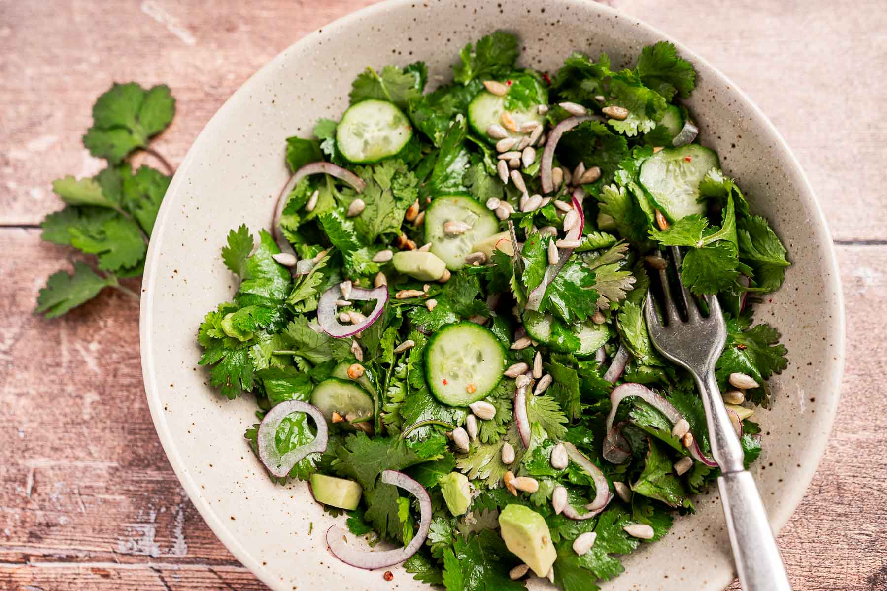 A cilantro salad comes to life with cucumber slices, avocado, red onion rings, and sunflower seeds artfully arranged in a bowl, with a fork nestled inside.