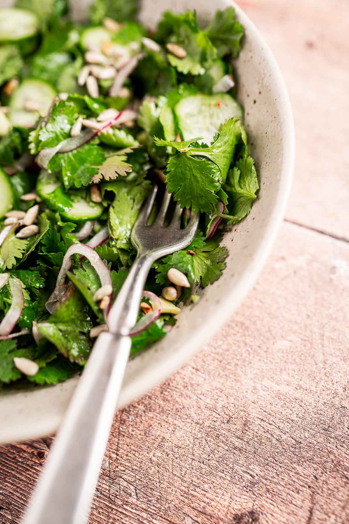 A cilantro salad brimming with cucumber slices, red onion, and sunflower seeds awaits in a bowl, with a fork resting invitingly inside.