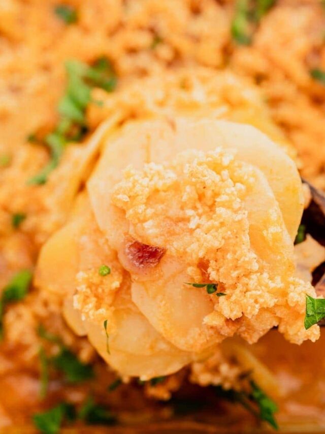 Cozy Vegan Potato Casserole