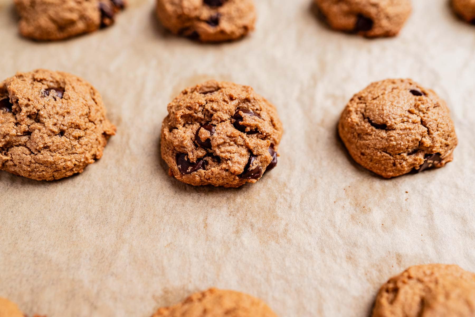 Oat flour chocolate chip cookies rest on a parchment-lined baking sheet, ready to be devoured.