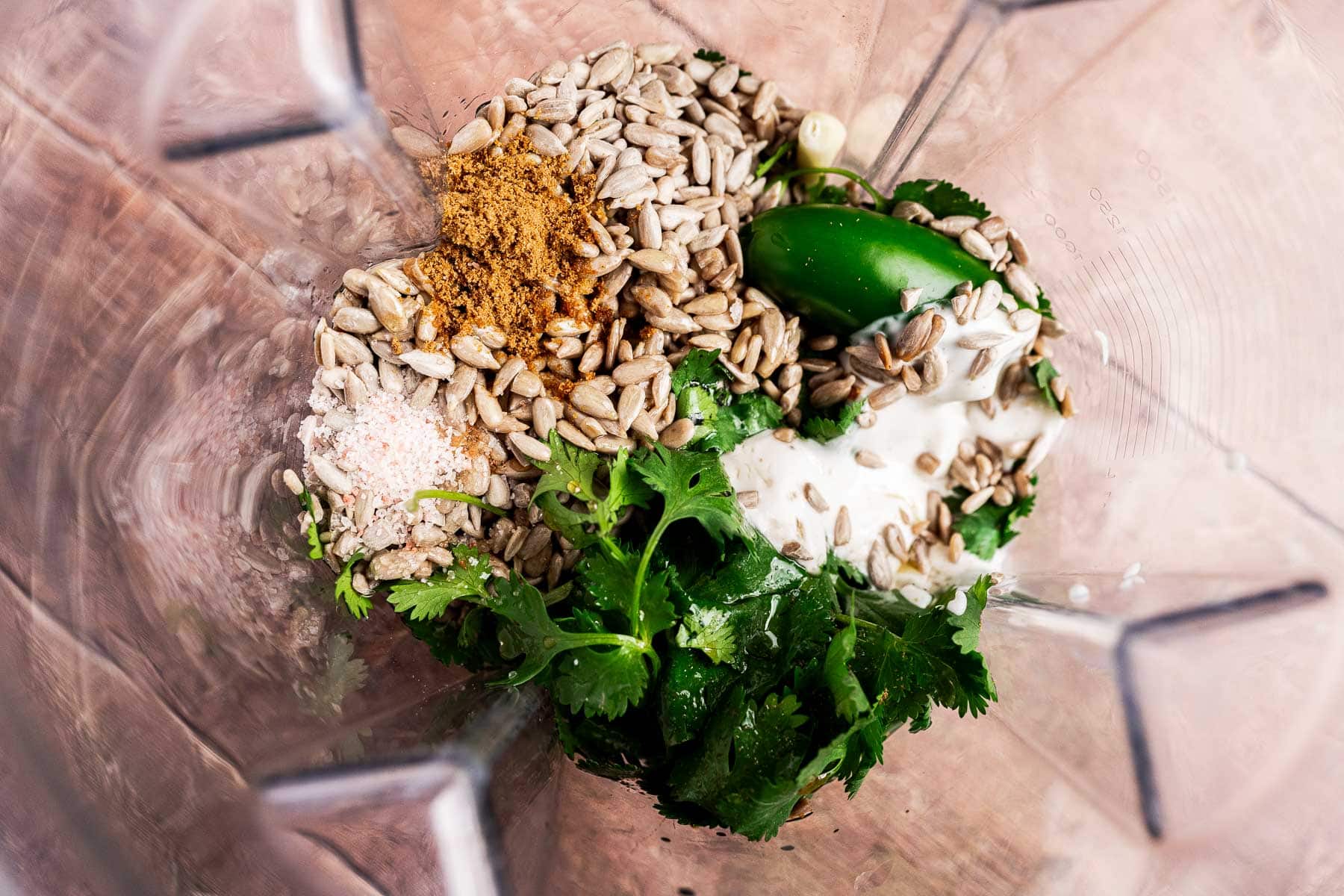 Sunflower seeds, cilantro, a jalapeño, ground spices, salt, and a white creamy ingredient are in a blender pitcher, ready to be blended into a fresh cilantro sauce.