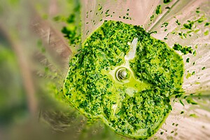 A close-up view of green pesto sauce blending inside a blender, mingling with vibrant schug, showing the metal blades and textured mixture.