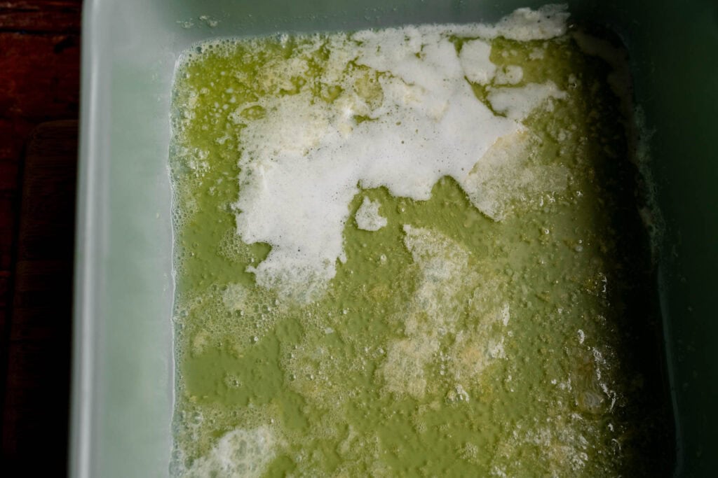 A pale green pumpkin butter swim biscuit liquid topped with a layer of white foam in a square container.